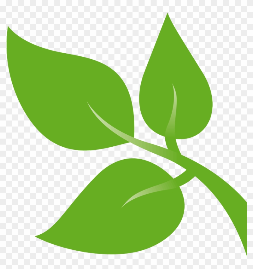 Detail Leaf Pattern Clip Art Nomer 39