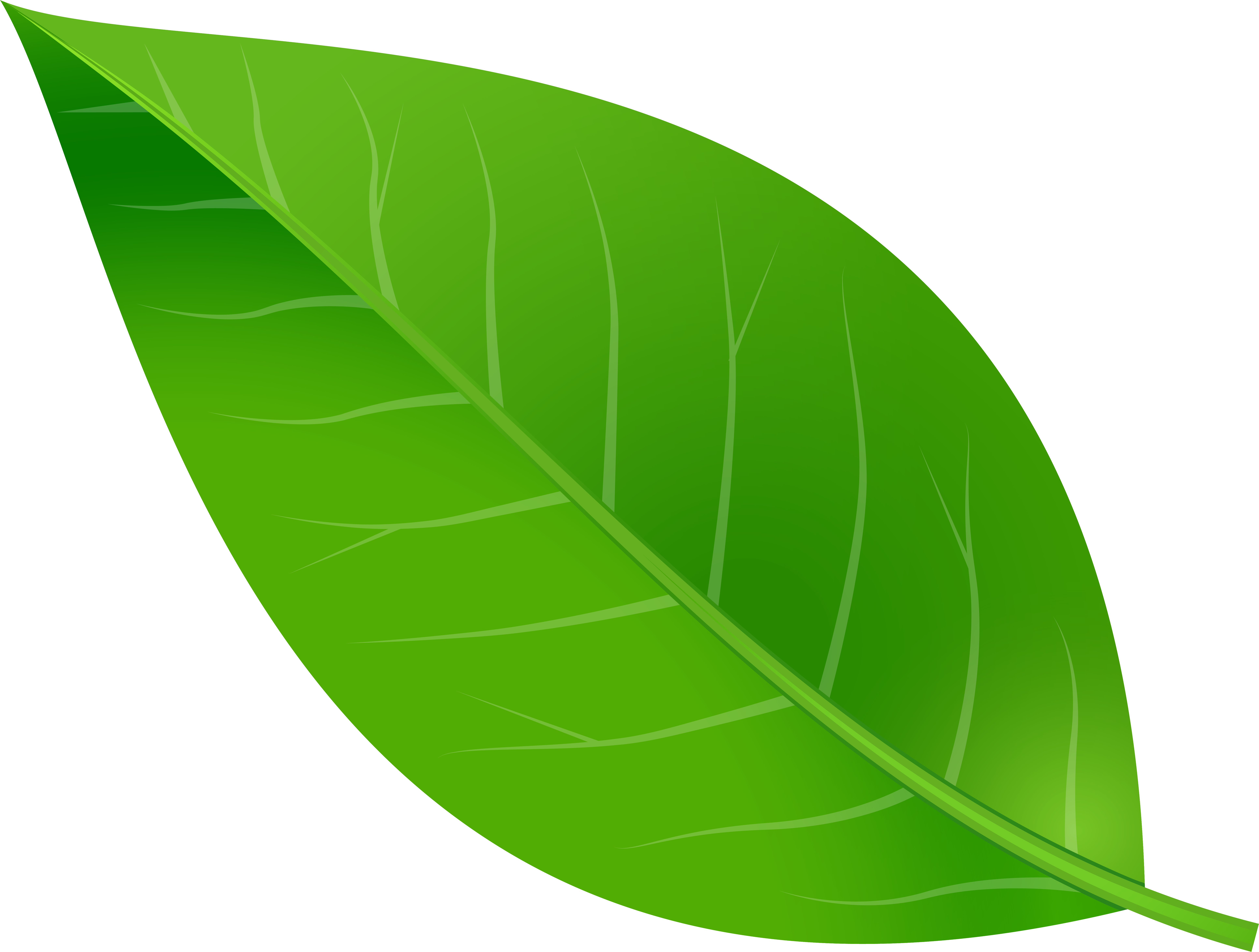 Detail Leaf Png Transparent Nomer 17