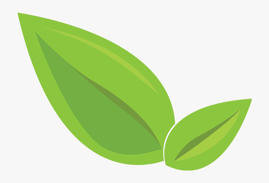 Detail Leaf Png Transparent Nomer 19