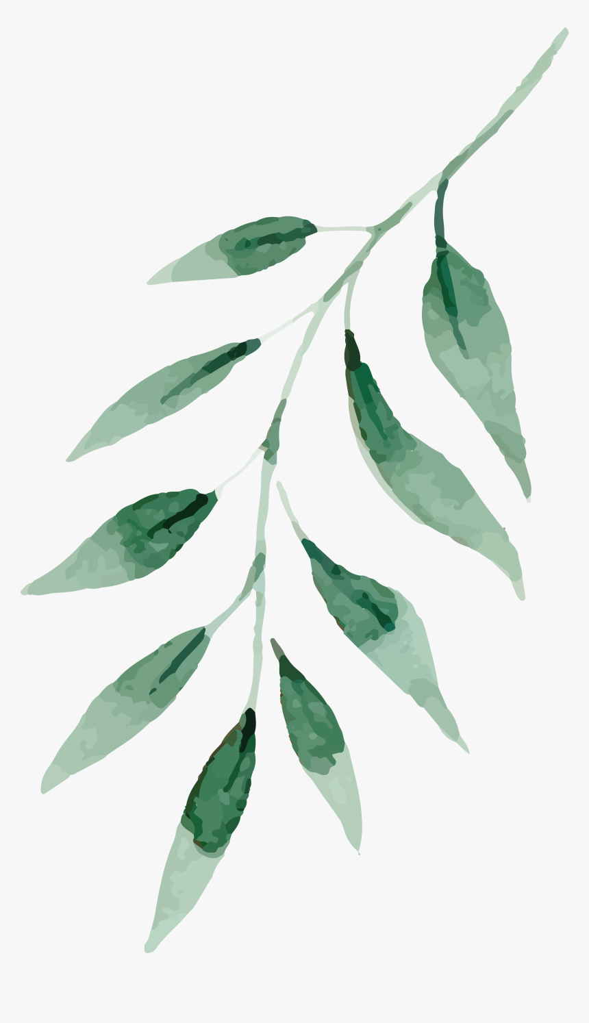 Detail Leaf Png Transparent Nomer 22