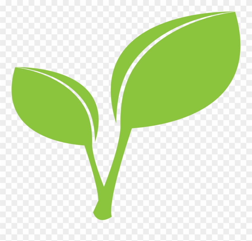 Detail Leaf Png Transparent Nomer 27