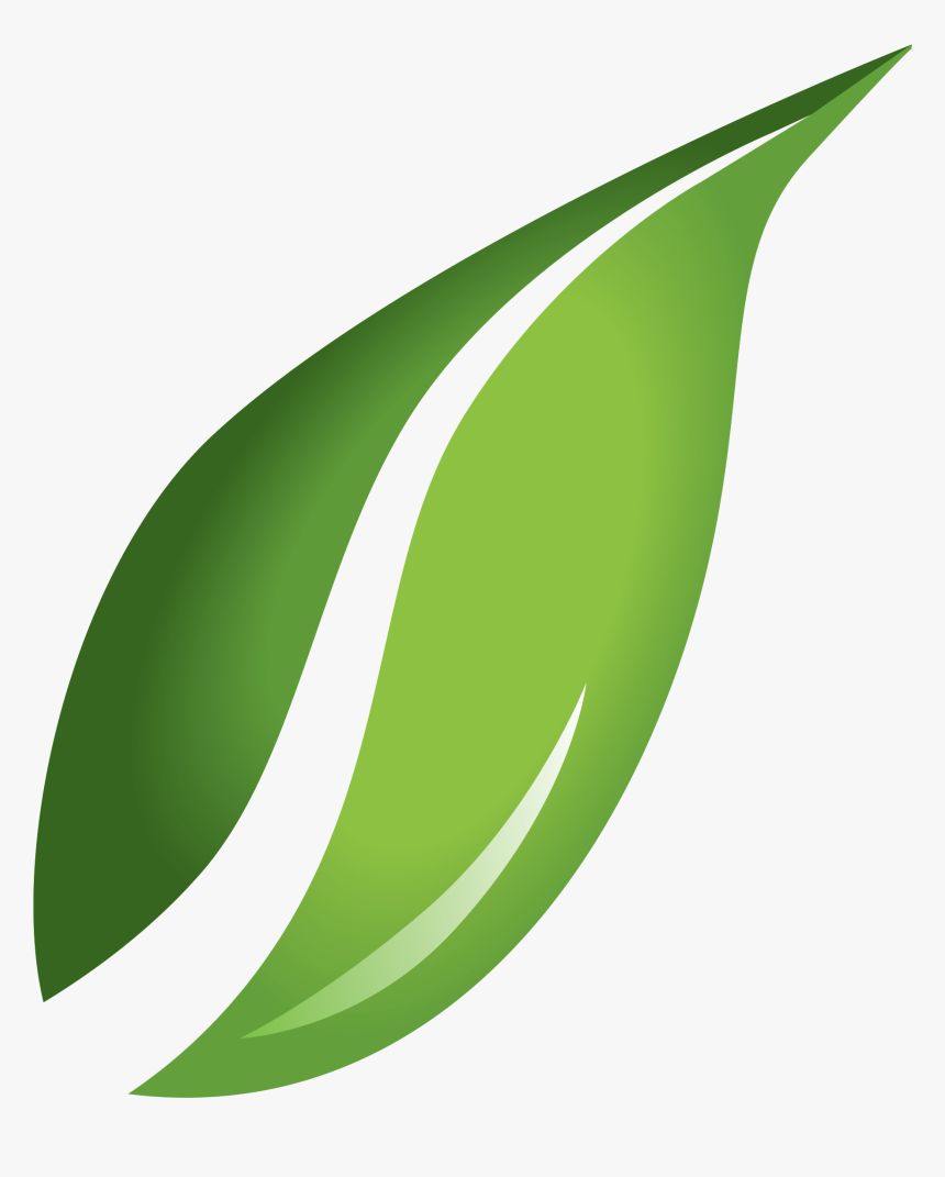 Detail Leaf Png Transparent Nomer 34