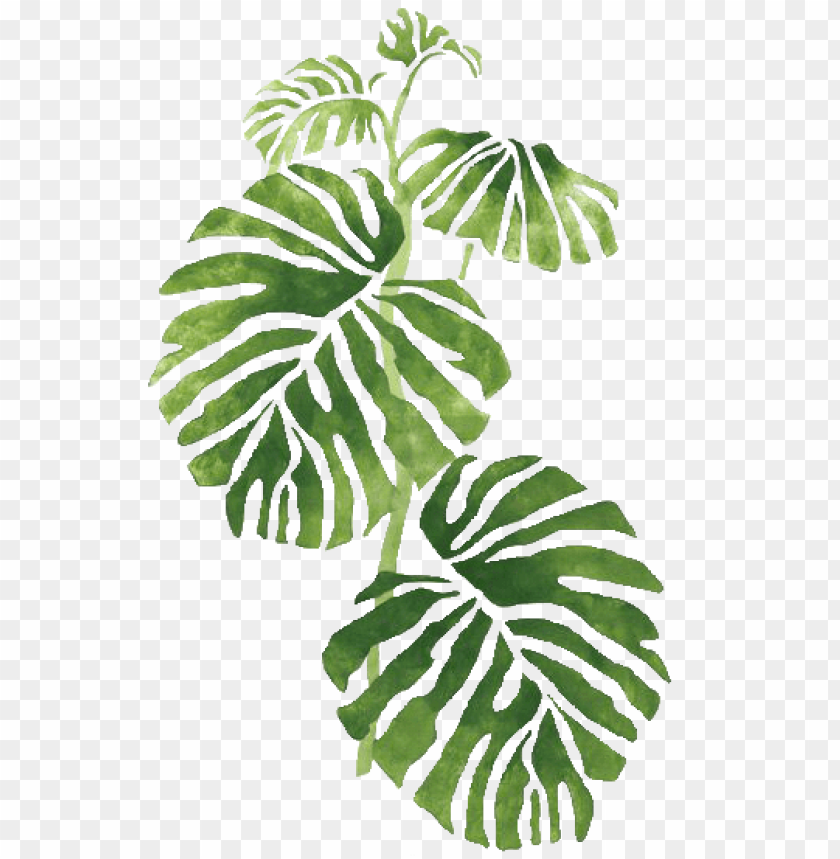 Detail Leaf Png Transparent Nomer 38