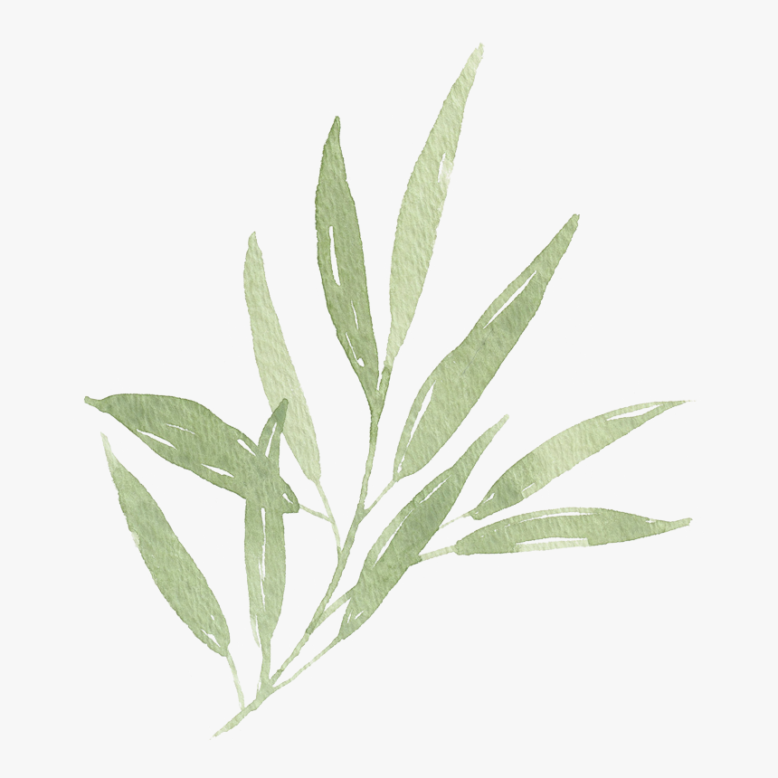 Detail Leaf Png Transparent Nomer 40