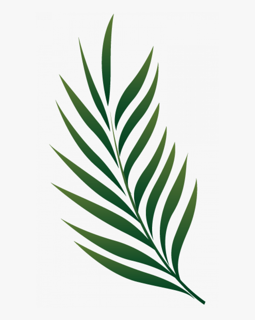 Detail Leaf Png Transparent Nomer 43