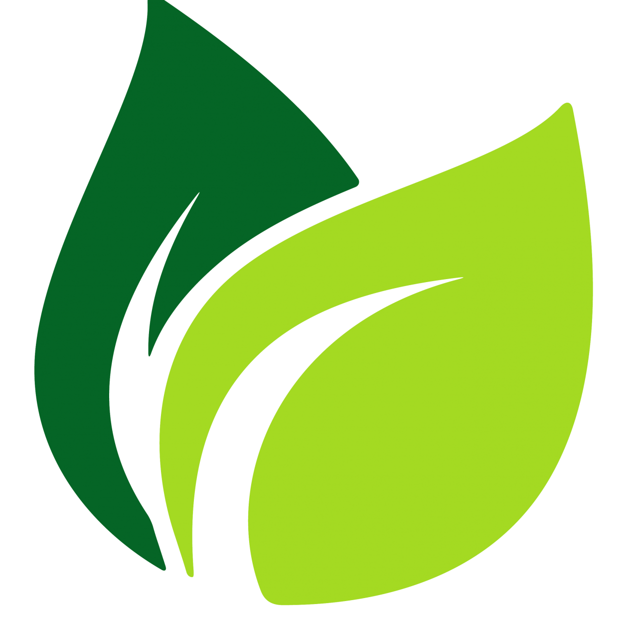 Detail Leaf Png Transparent Nomer 52
