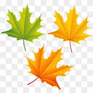 Detail Leaf Png Transparent Nomer 54