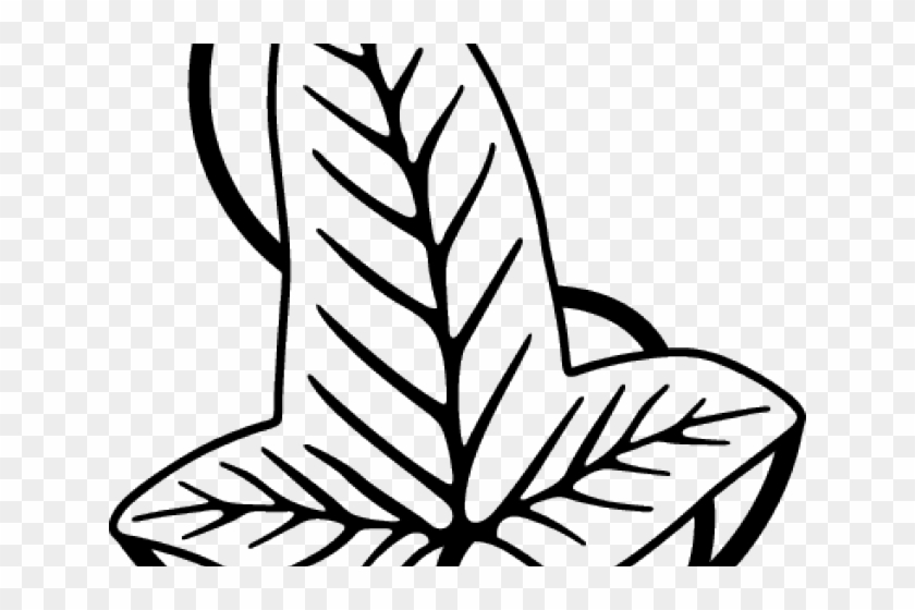 Detail Leaf Ring Clipart Nomer 28