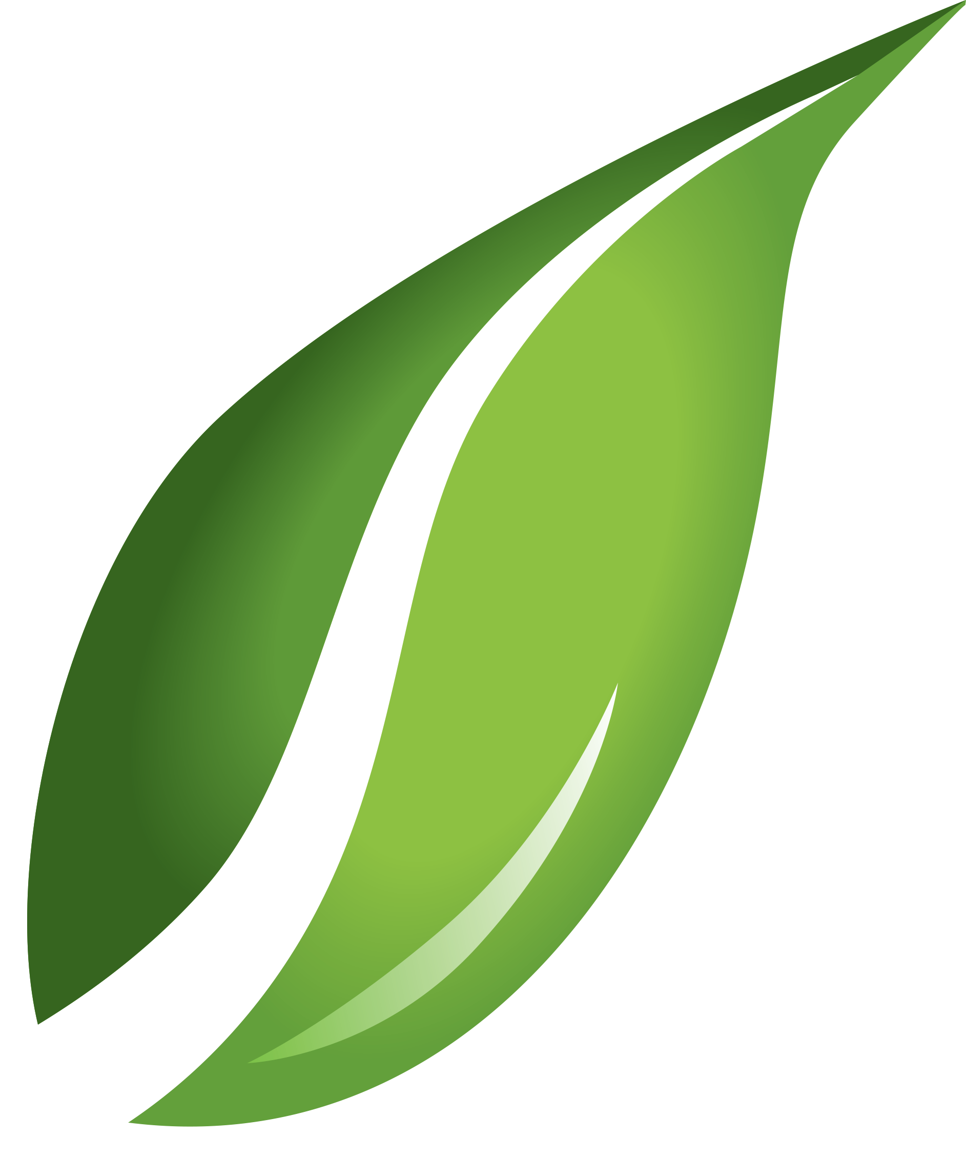 Detail Leaf Transparent Nomer 30