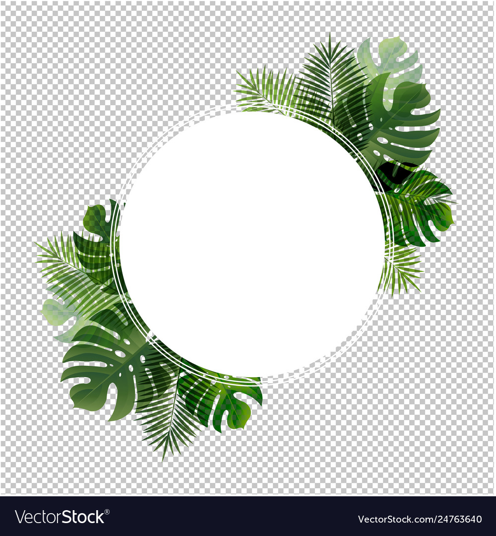 Detail Leaf Transparent Background Nomer 19