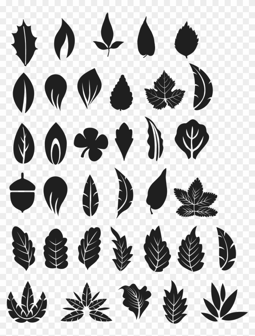 Detail Leaf Tree Png Nomer 55