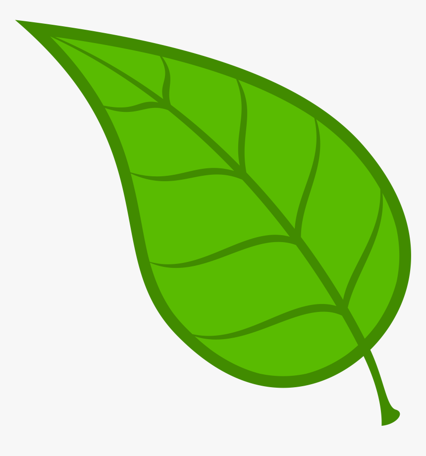Leaf Vector Hd - KibrisPDR