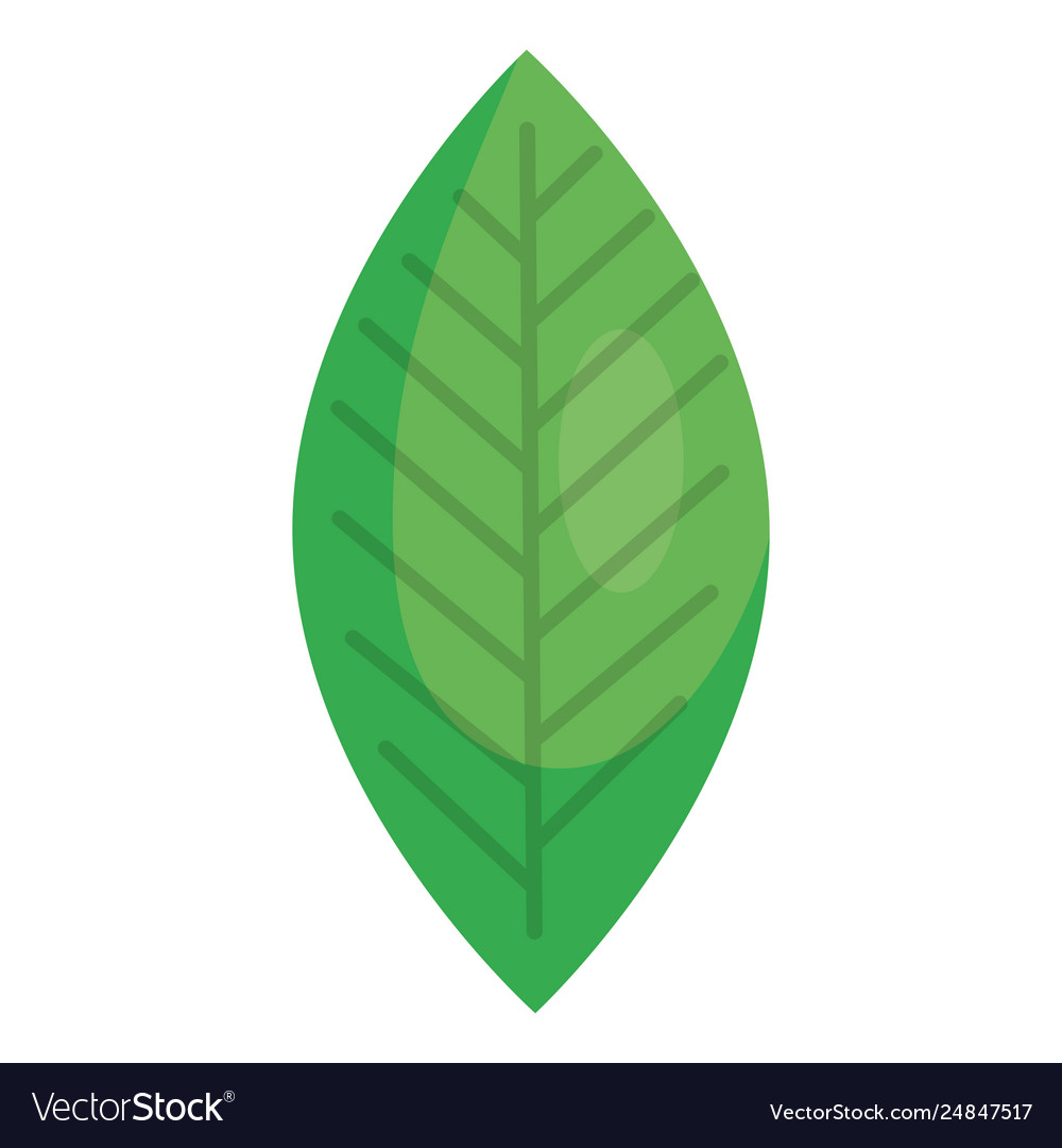 Detail Leaf Vector Hd Nomer 12