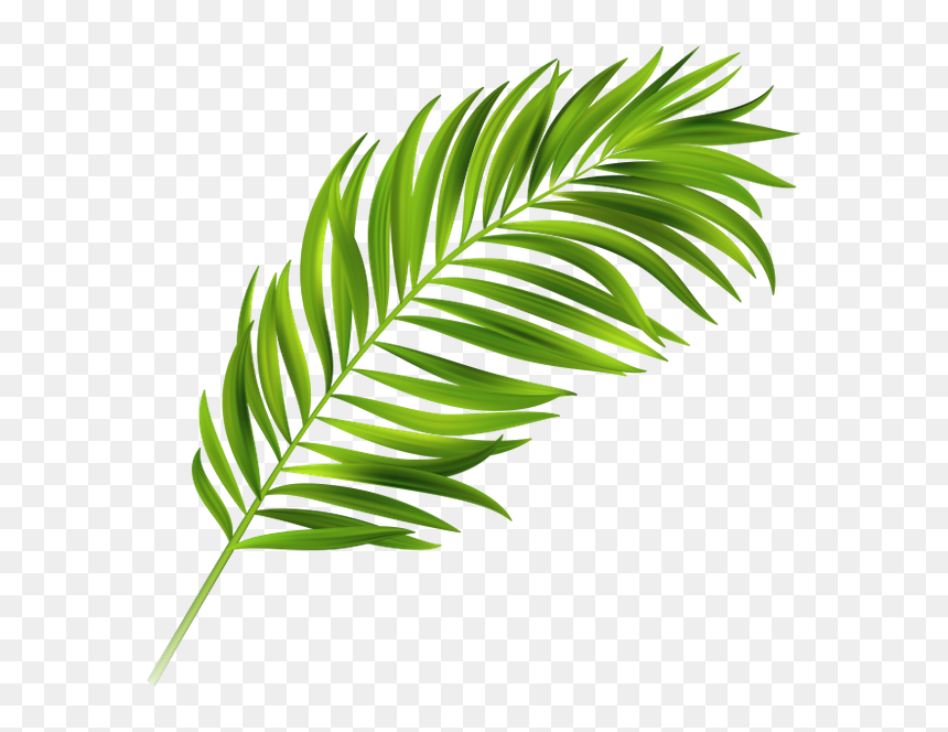 Detail Leaf Vector Hd Nomer 13