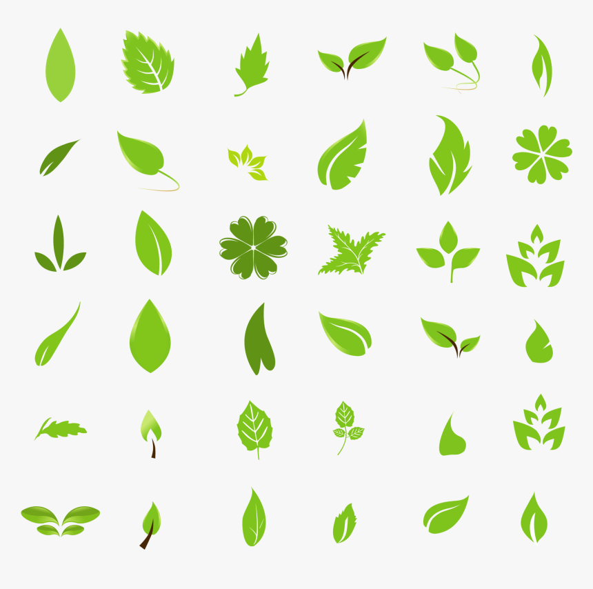 Detail Leaf Vector Hd Nomer 16
