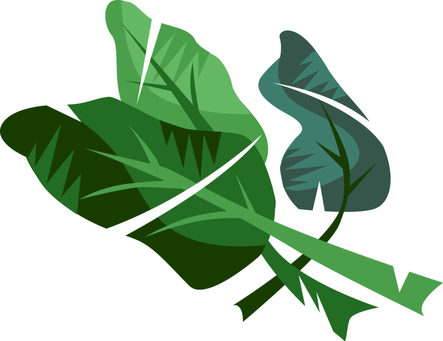 Detail Leaf Vector Hd Nomer 19