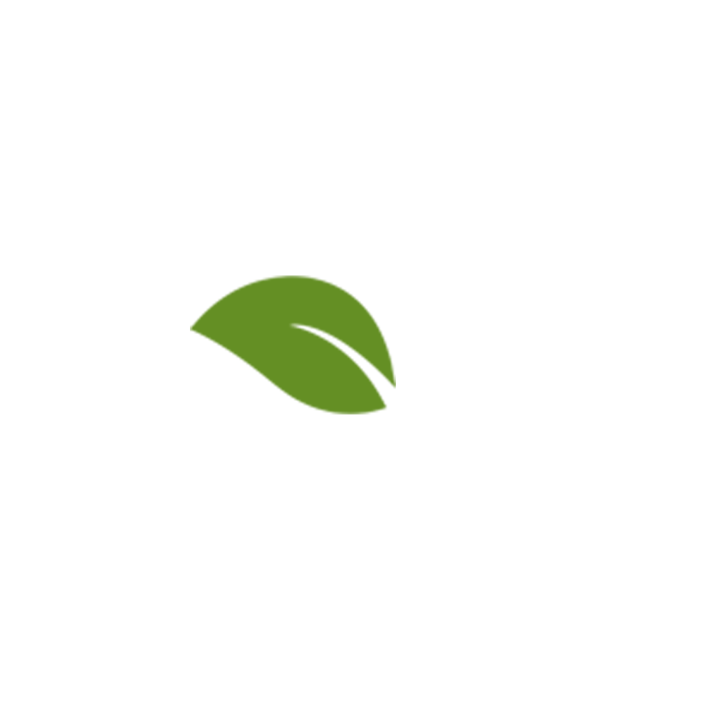 Detail Leaf Vector Hd Nomer 20