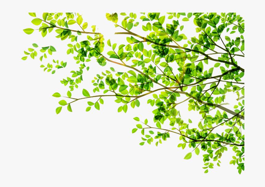 Detail Leaf Vector Hd Nomer 23