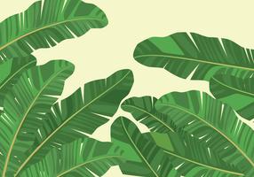 Detail Leaf Vector Hd Nomer 24