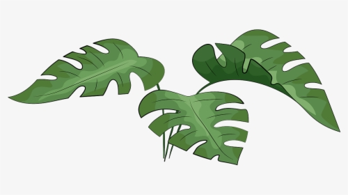 Detail Leaf Vector Hd Nomer 25