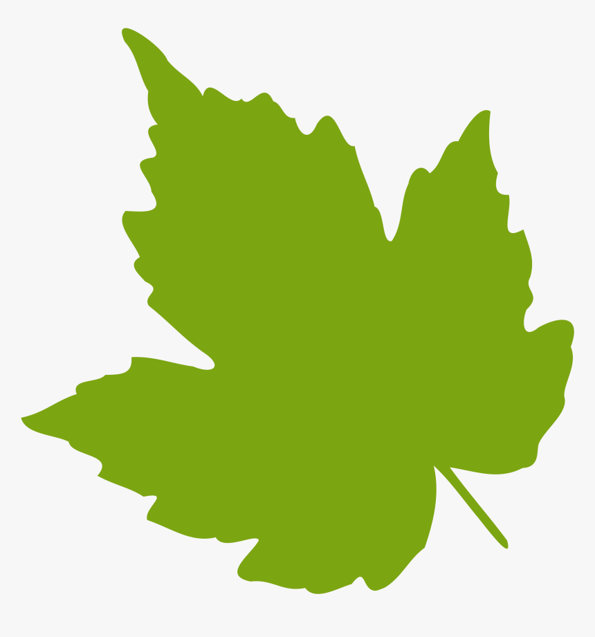 Detail Leaf Vector Hd Nomer 26