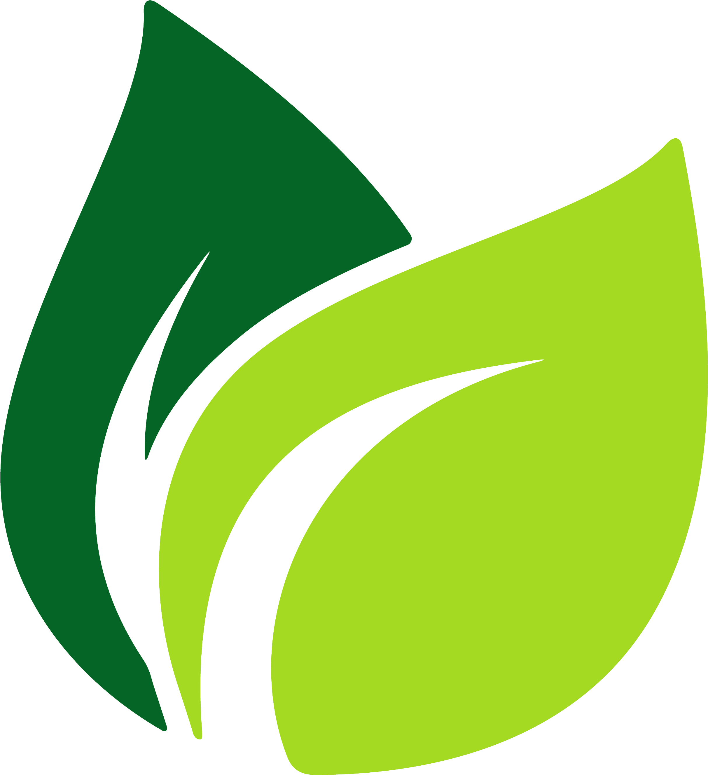 Detail Leaf Vector Hd Nomer 4