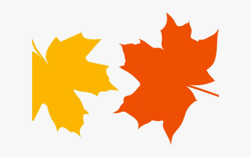 Detail Leaf Vector Hd Nomer 32