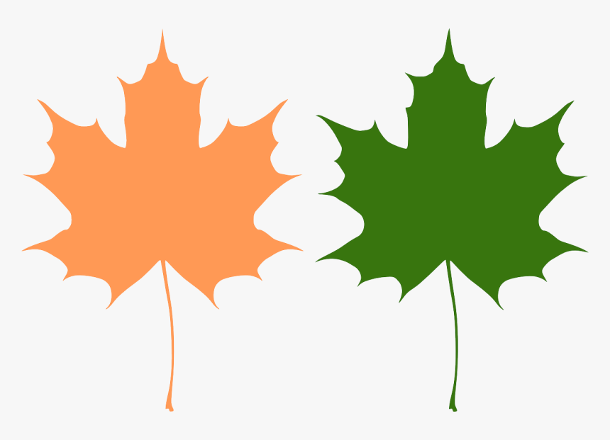 Detail Leaf Vector Hd Nomer 37