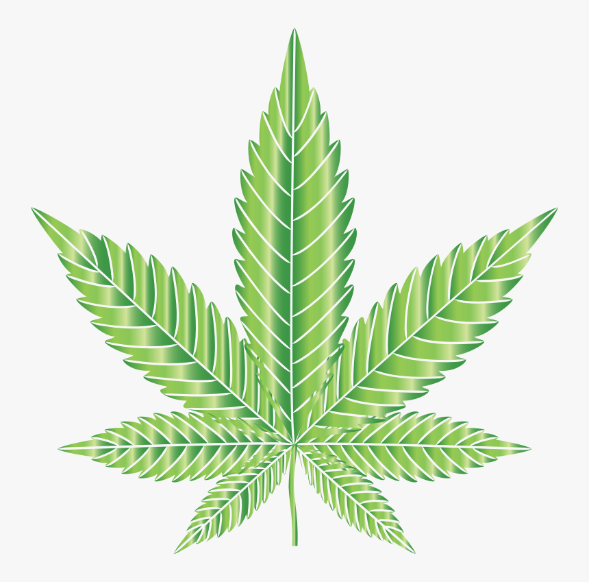 Detail Leaf Vector Hd Nomer 38
