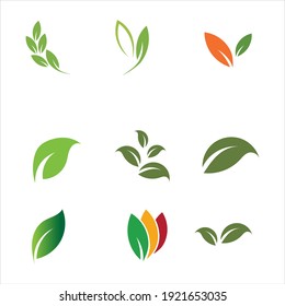 Detail Leaf Vector Hd Nomer 43