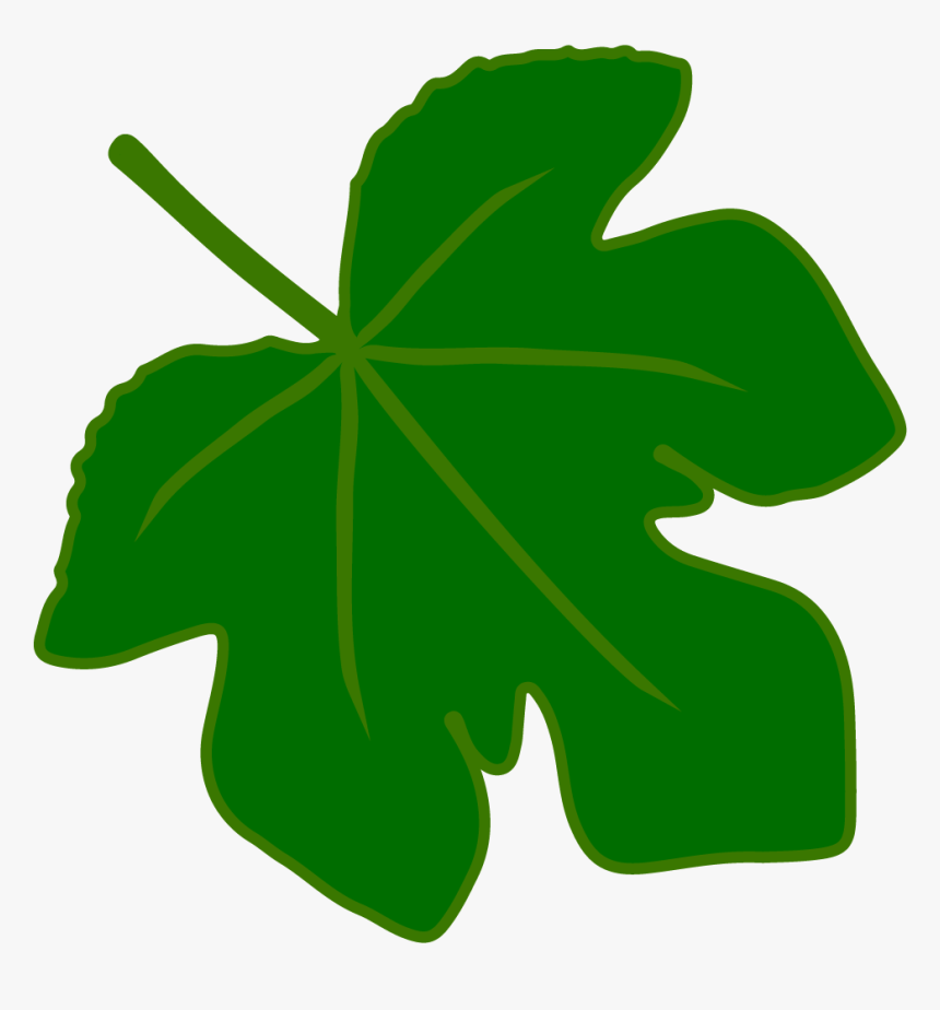 Detail Leaf Vector Hd Nomer 48