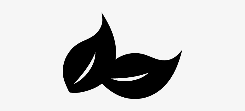 Detail Leaf Vector Hd Nomer 55