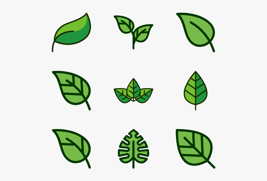 Detail Leaf Vector Hd Nomer 8