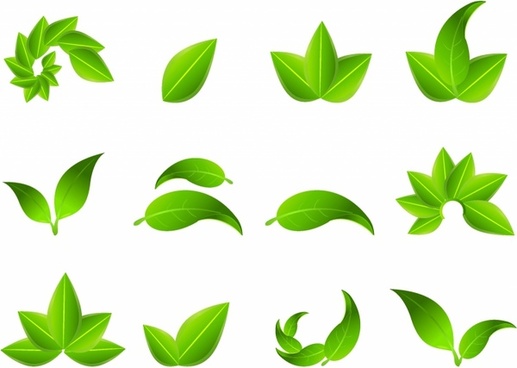 Detail Leaf Vector Hd Nomer 10