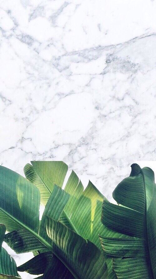 Detail Leaf Wallpaper Tumblr Nomer 21