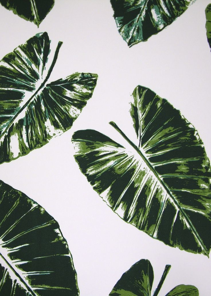 Detail Leaf Wallpaper Tumblr Nomer 8