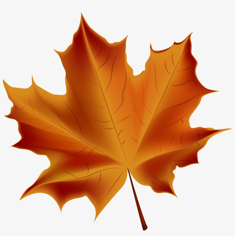 Detail Leaf With Transparent Background Nomer 20