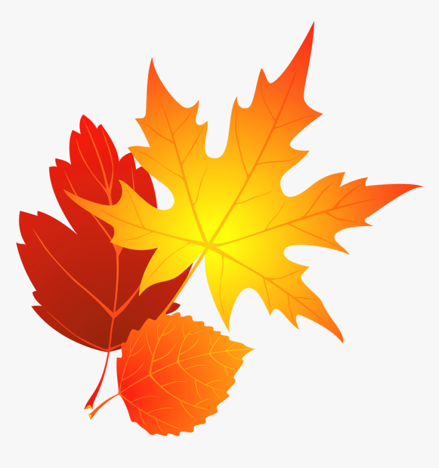 Detail Leaf With Transparent Background Nomer 27