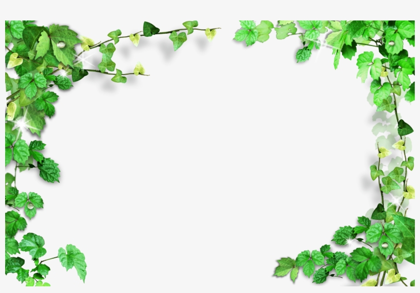 Detail Leaf With Transparent Background Nomer 37