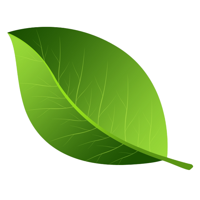 Detail Leaf With Transparent Background Nomer 7