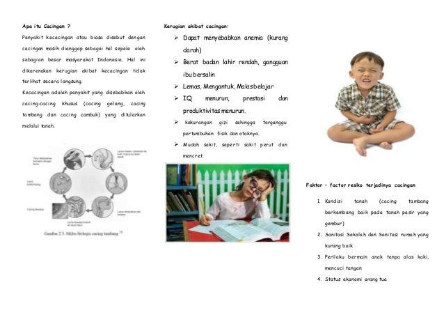 Detail Leaflet Cacingan Pada Anak Nomer 2