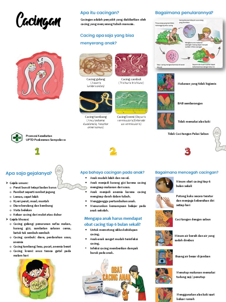 Detail Leaflet Cacingan Pada Anak Nomer 7