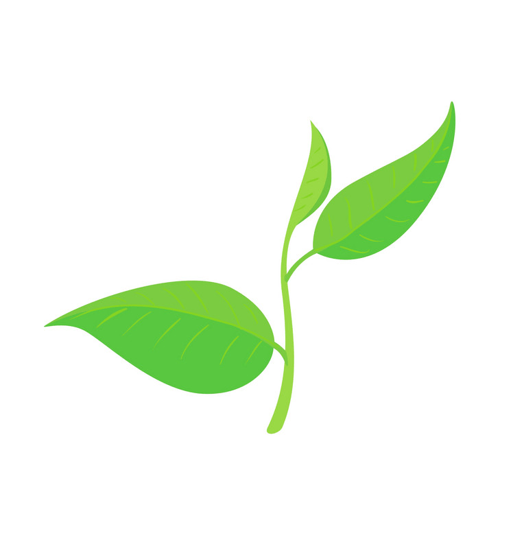 Detail Leafpng Nomer 13