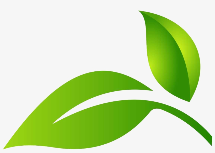 Detail Leafpng Nomer 17