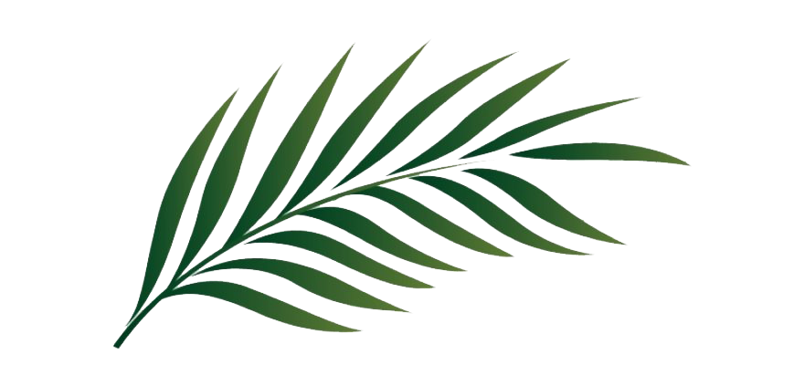 Detail Leafpng Nomer 32