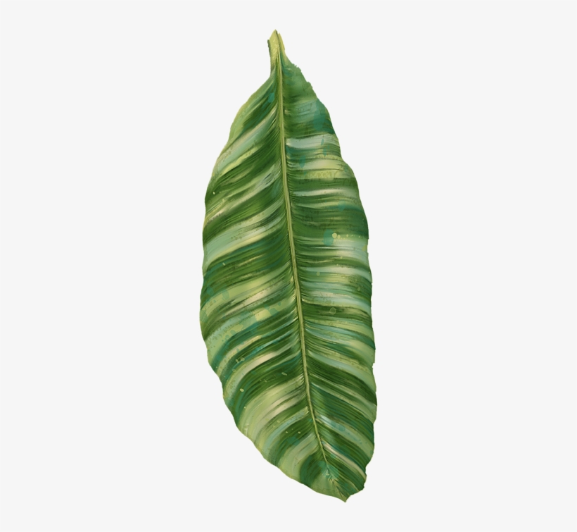 Detail Leafpng Nomer 34