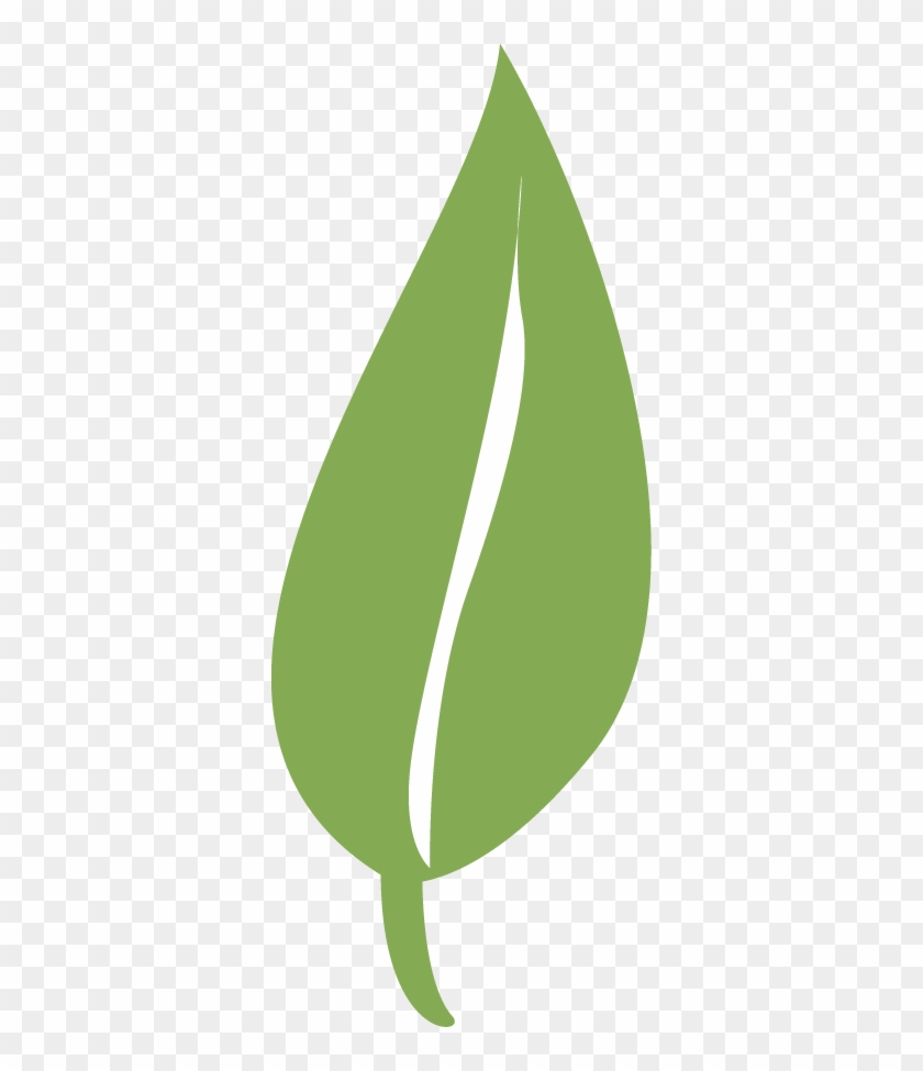 Detail Leafpng Nomer 48
