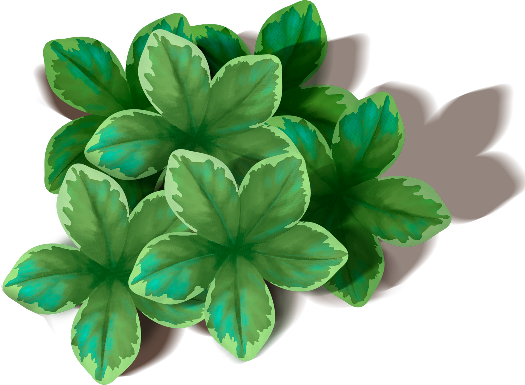 Detail Leafs Png Nomer 57