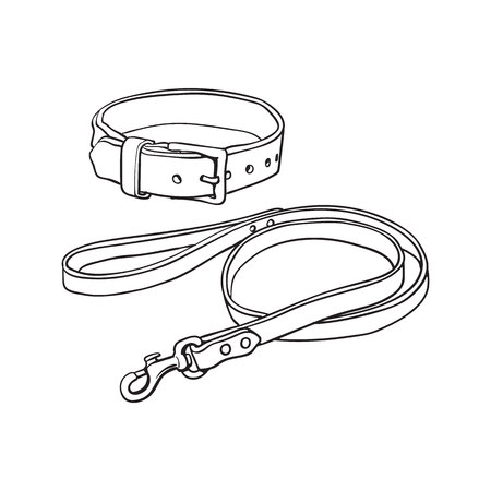 Detail Leash Clipart Nomer 9