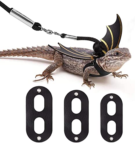 Detail Leash For Iguana Nomer 15